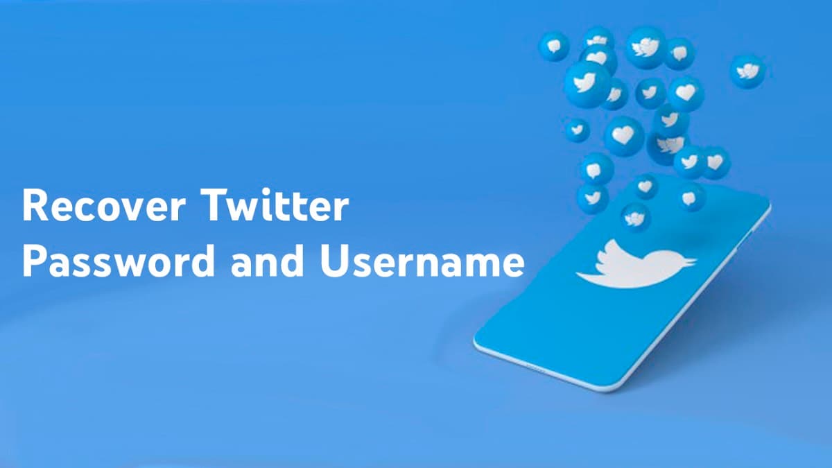 Recover Twitter Password and Username
