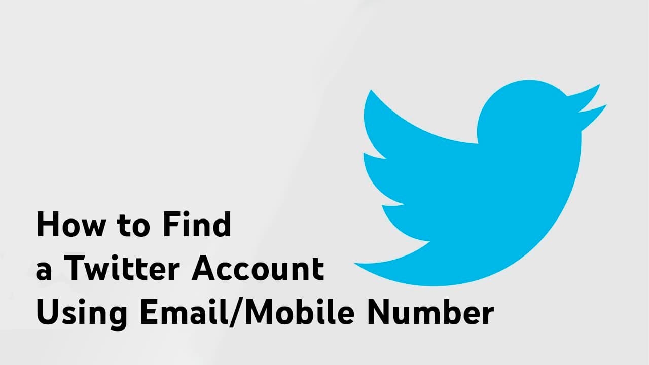 How to Find A Twitter Account
