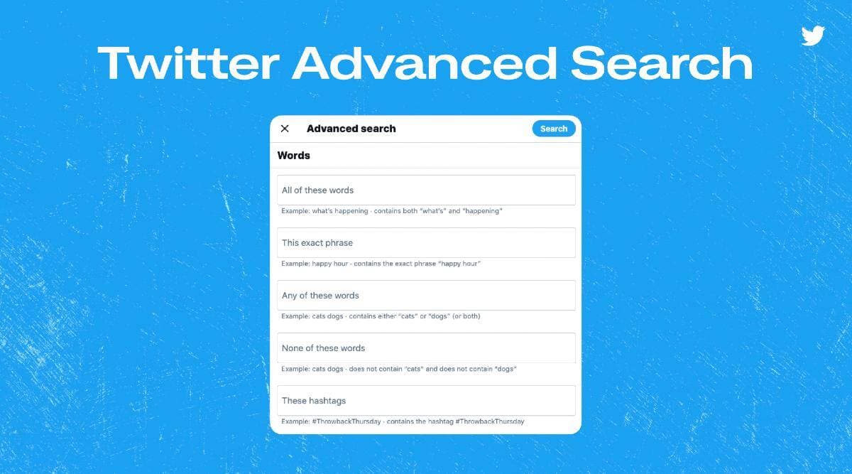 how to search someone's tweets