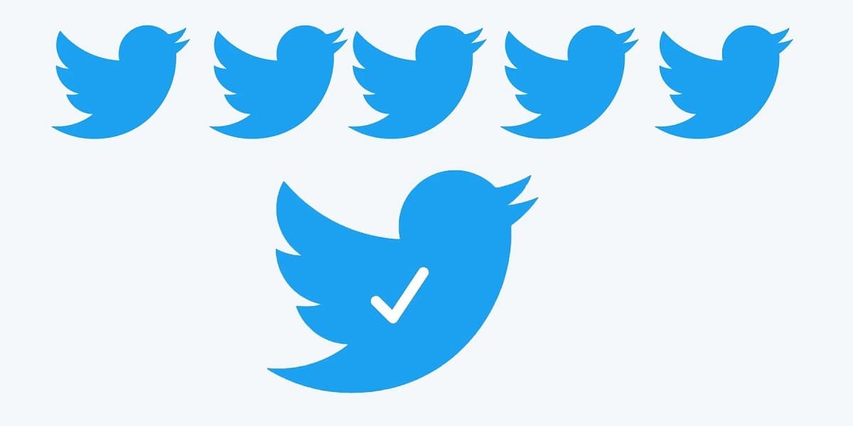Twitter Verification