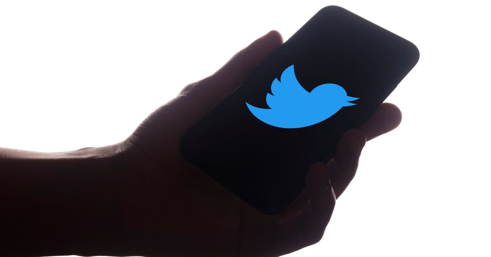 twitter notifications
