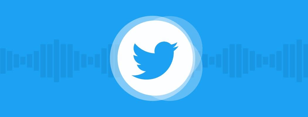 twitter voice