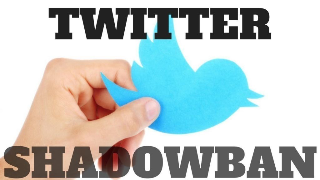 Efficient Ways To Avoid A Twitter Shadowban