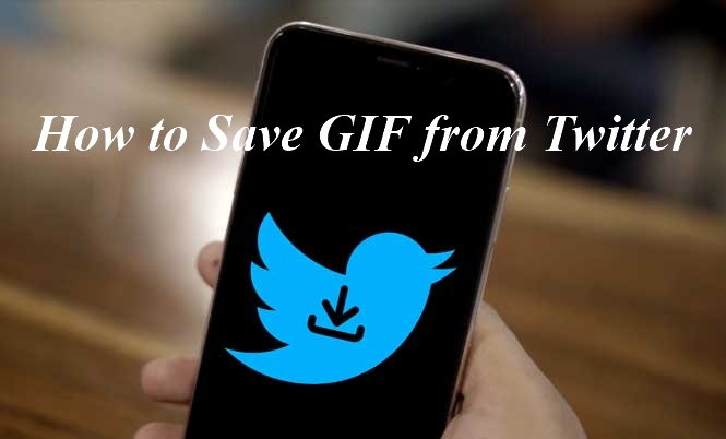 How To Save GIF From Twitter: Step-By-Step Guide