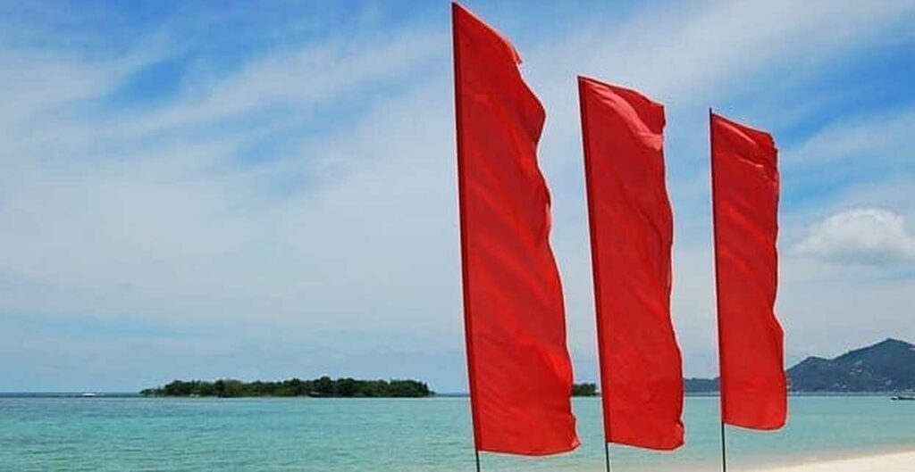 What Do the Red Flags on Twitter Mean? - Twenvy