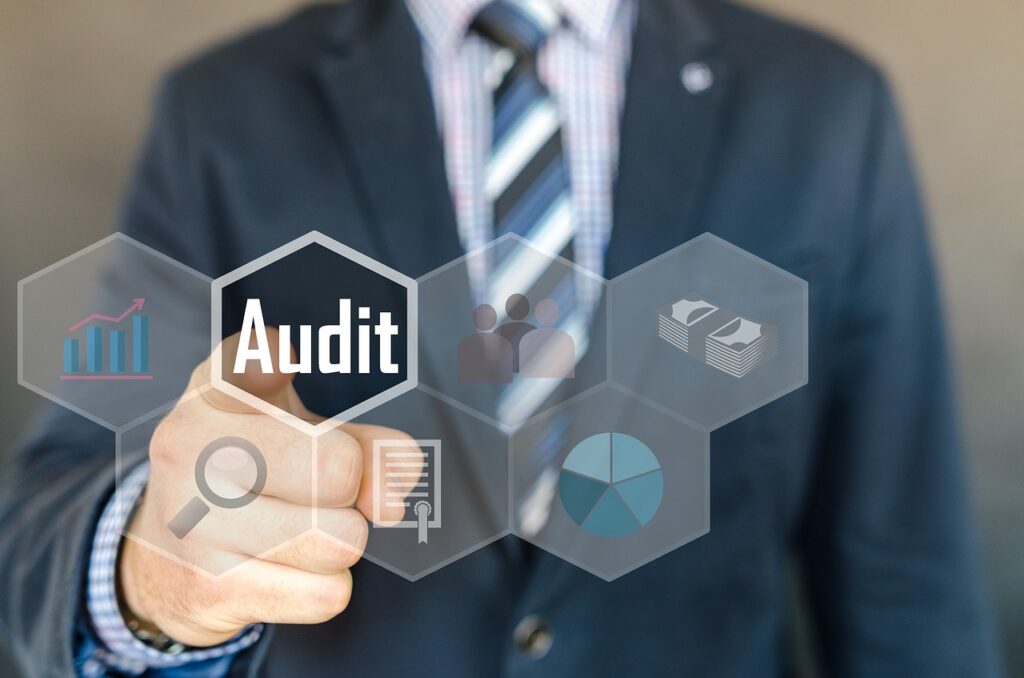 what is a social media audit