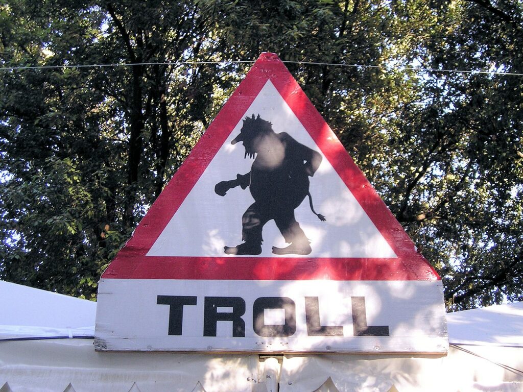 what is a troll on social media